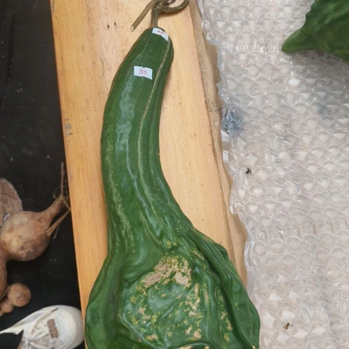鹤手葫芦鹤首葫芦