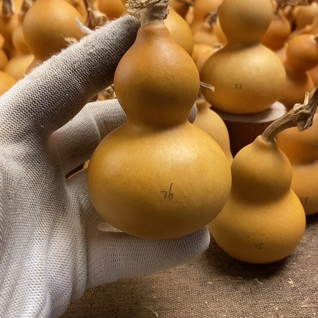 文玩葫芦 完美主义者 慎拍76