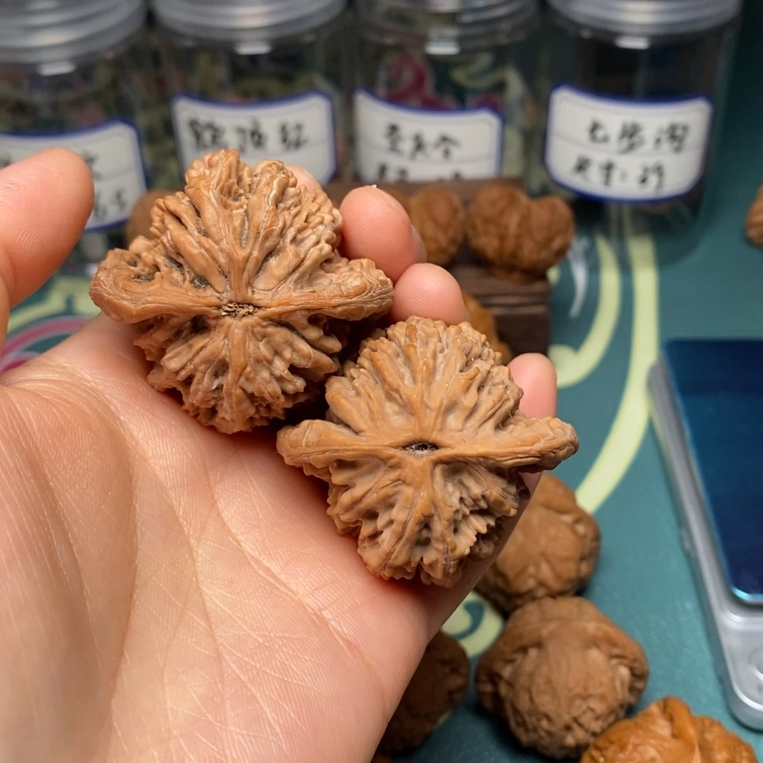 核桃44尺全品麦穗虎头