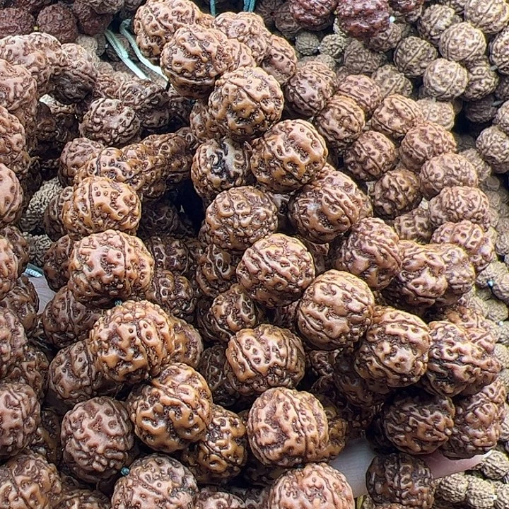 ****肉手串金刚菩提谢谢