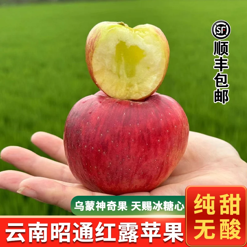 【顺丰包邮】正宗云南昭通冰糖心丑苹果现摘现发脆甜新鲜水果红富士