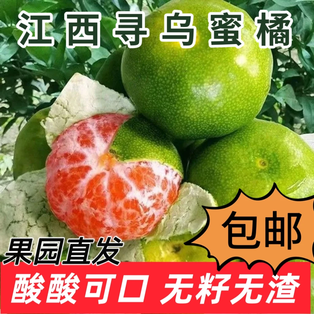 【布莱克丽丽专属】寻乌蜜橘青皮橘子3/5斤孕妇水果现摘无籽皮薄