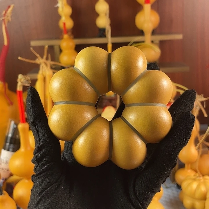 痛***快葫芦花一棵多见长一米七一根小