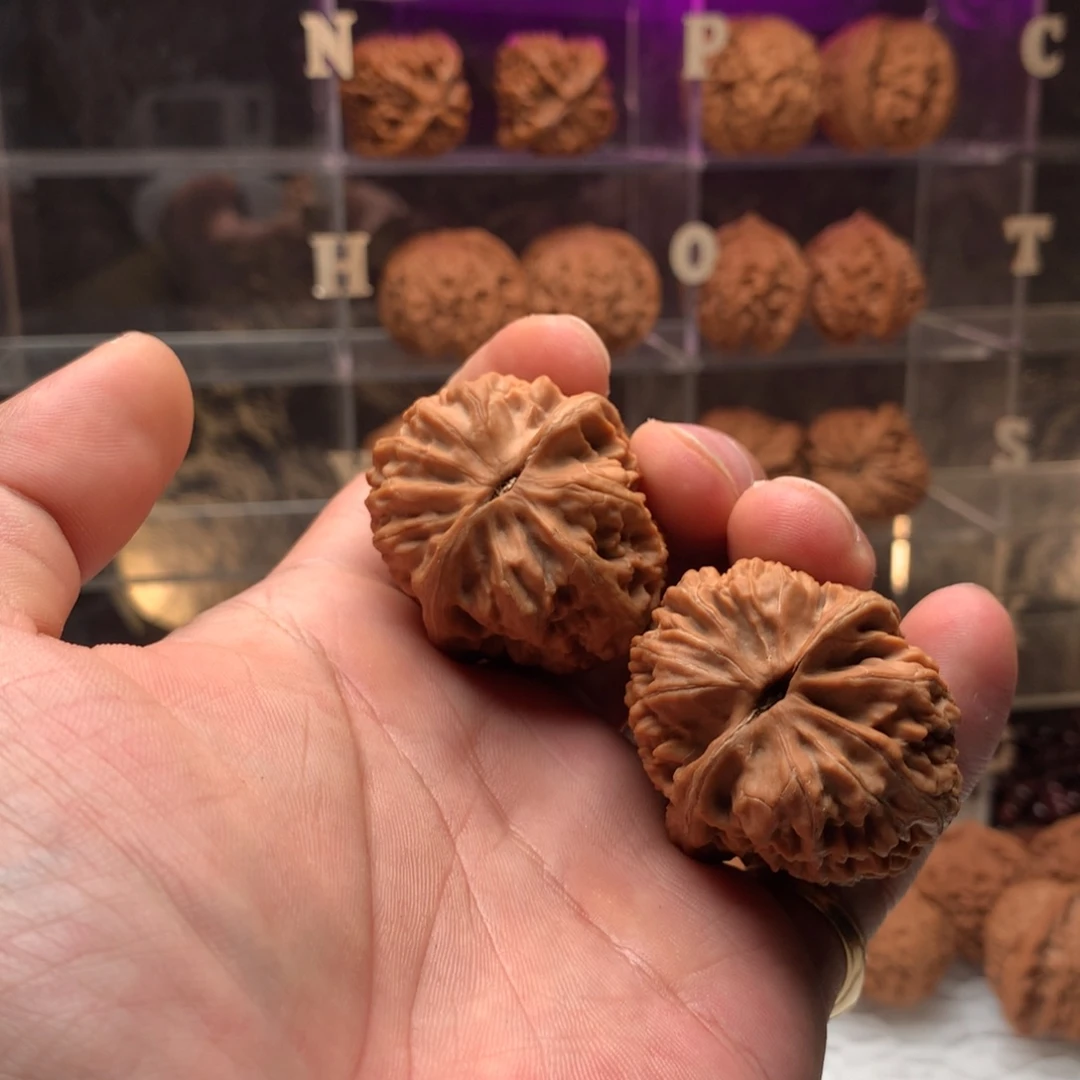 与***辰文玩核桃吊坠将军膀666888