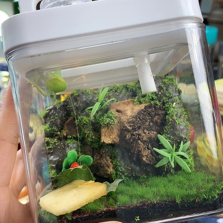 哈哈哈哈哈哈哈哈哈哈哈哈哈哈