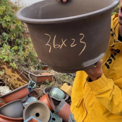 花盆紫砂特价帖了，