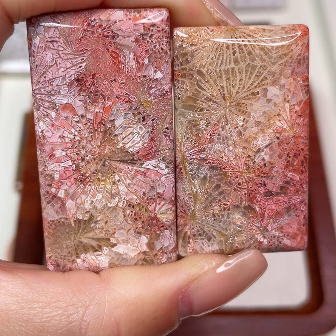 【闪购商品】未镶嵌吊坠(赠链)硅化玉
