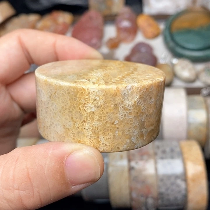 硅化珊瑚（珊瑚玉）手镯未镶嵌