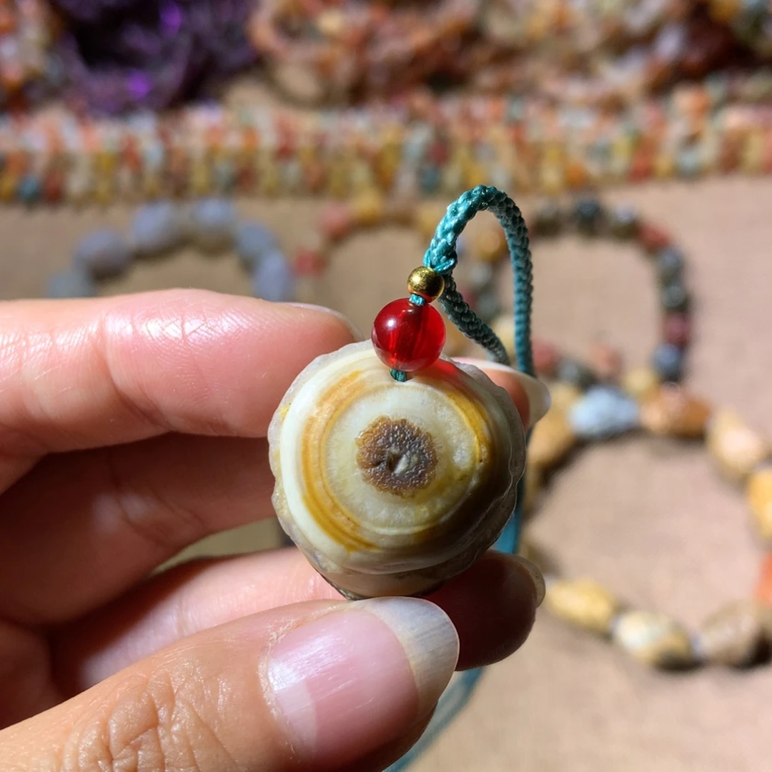 戈壁葡萄干原石筋脉