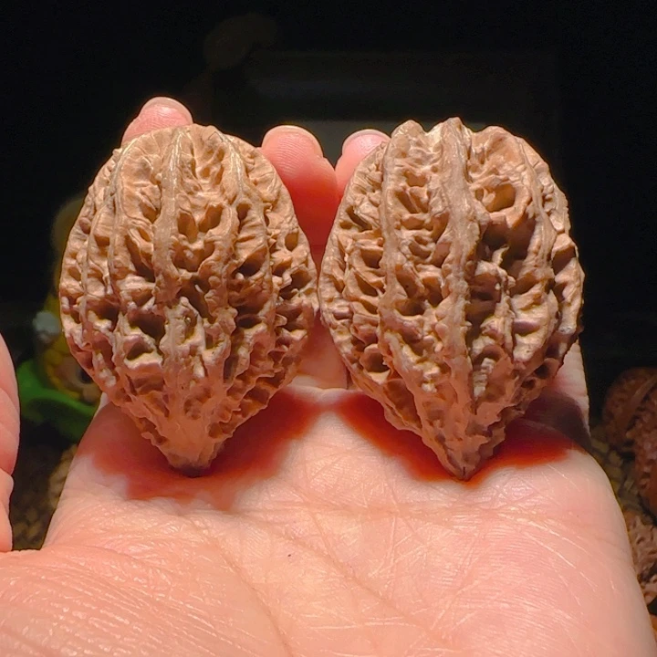 文玩核桃吊坠米子35