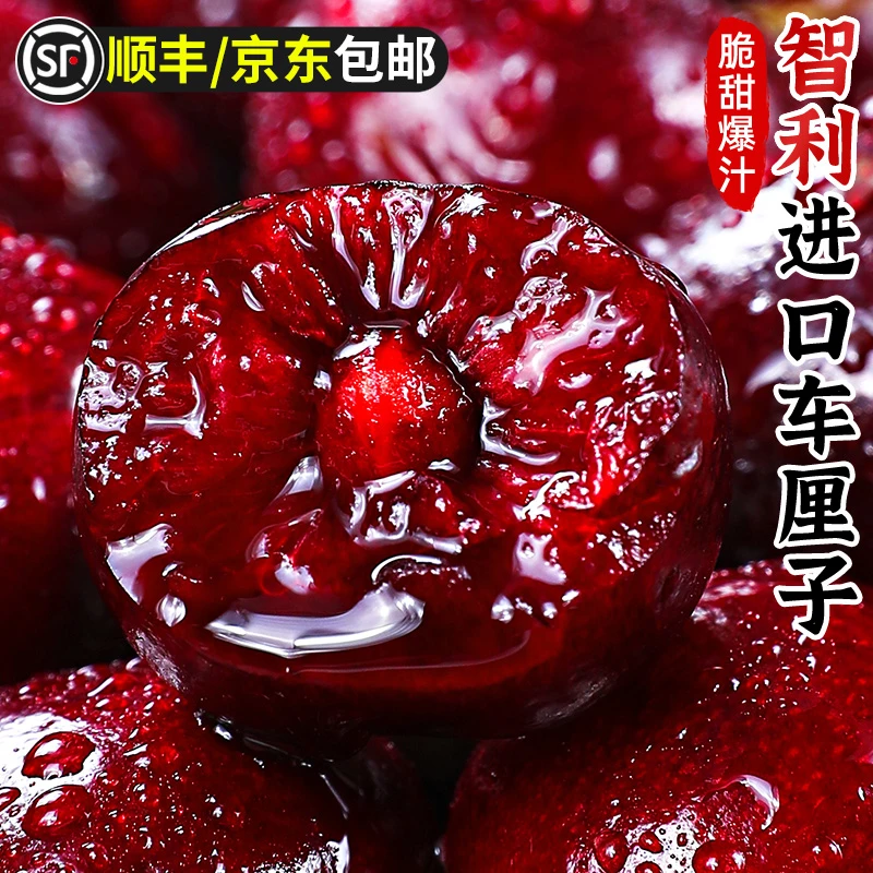 【现货速发】智利进口车厘子空运桑提娜J-4J新鲜水果内附果径卡