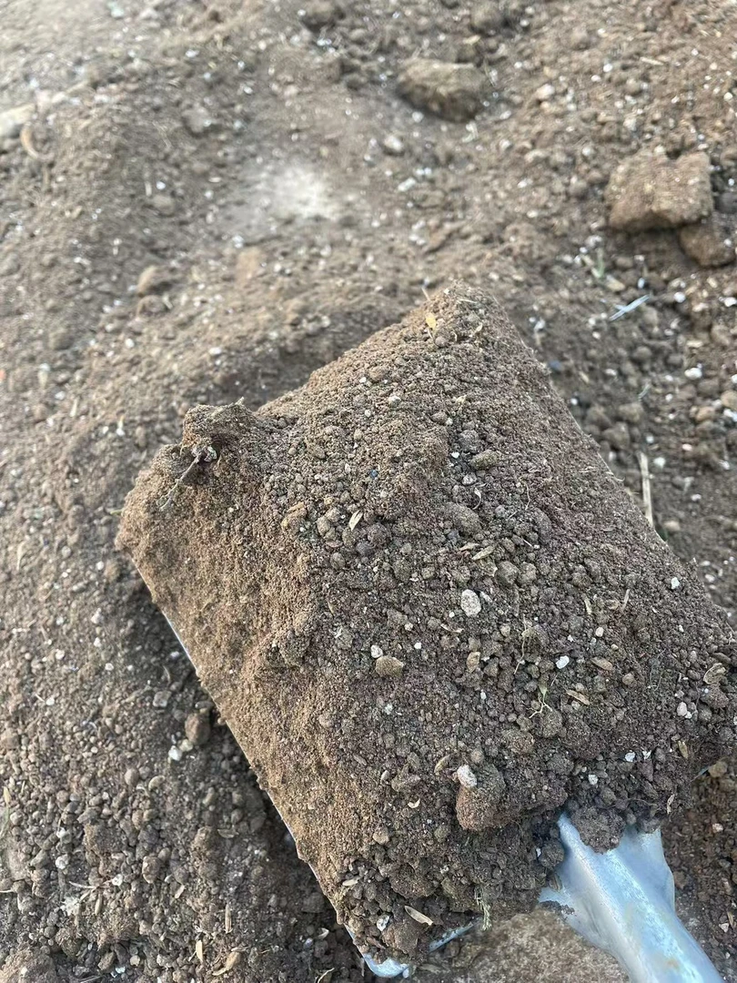 自配草莓苗专用泥土养花营养土搅拌田园土