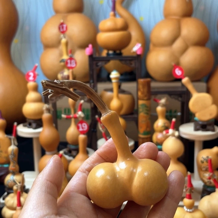 小***礼葫芦丝老师在讲台前讲故事时