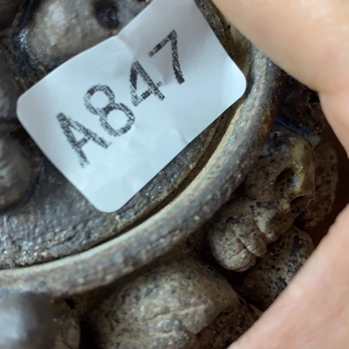 杰****柴烧裸烧源头产地瑕