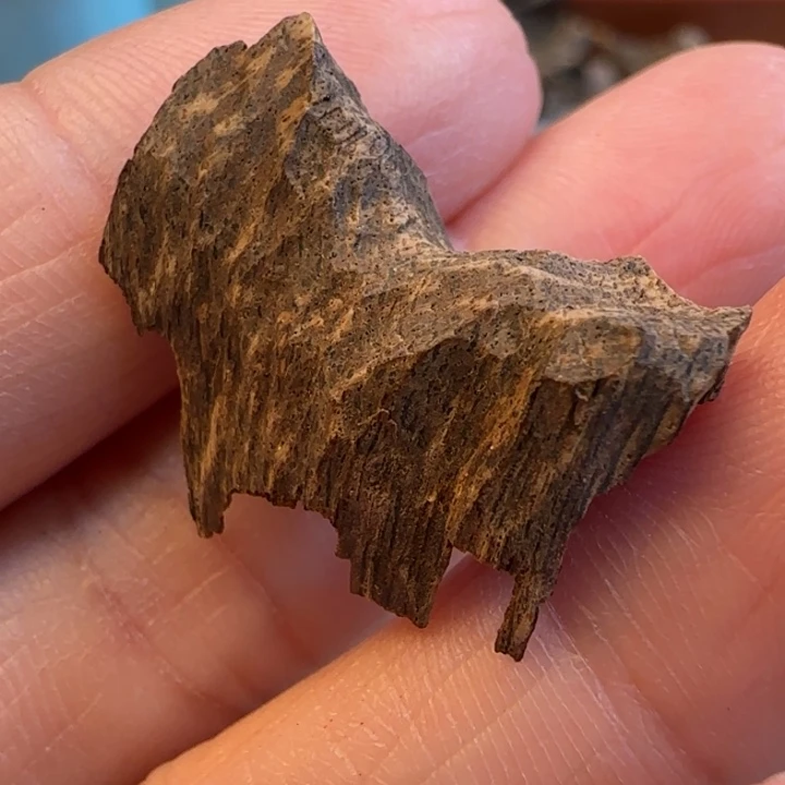 沉香摆件海南沉水尖峰岭0.63克