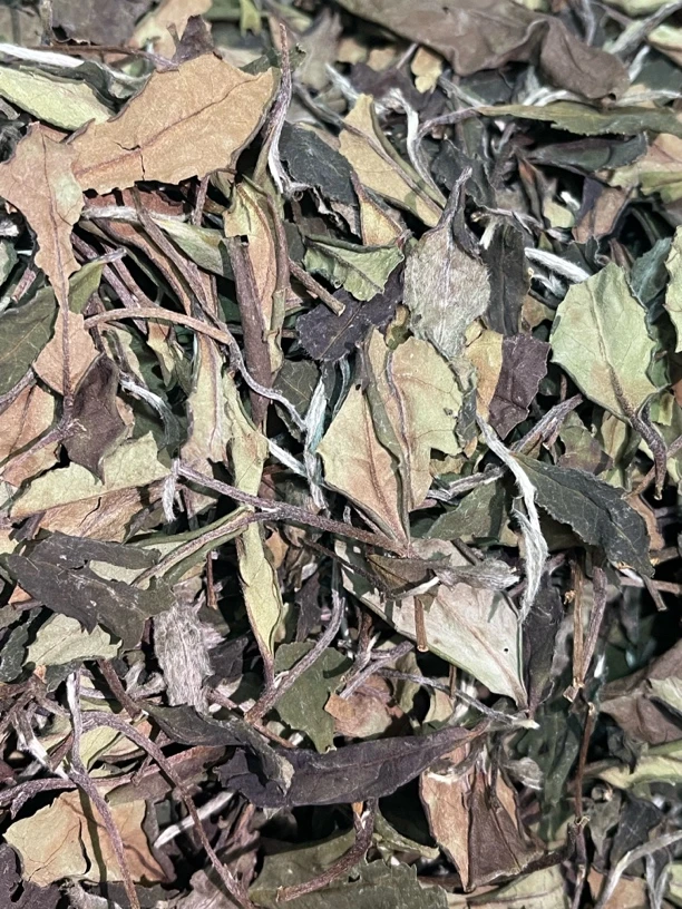 2012年寿眉老白茶砖