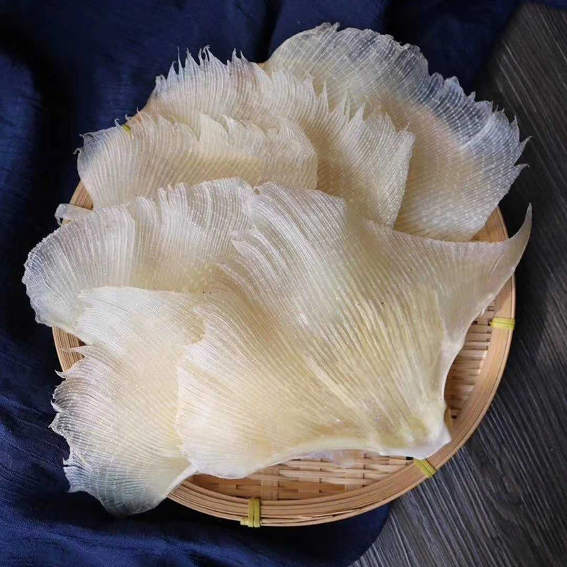 海狗翅 煲汤 好正