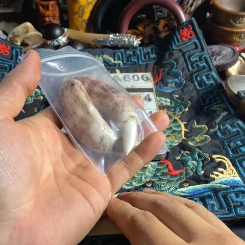 瓷片聪****?寻呼台的人也太少见啦