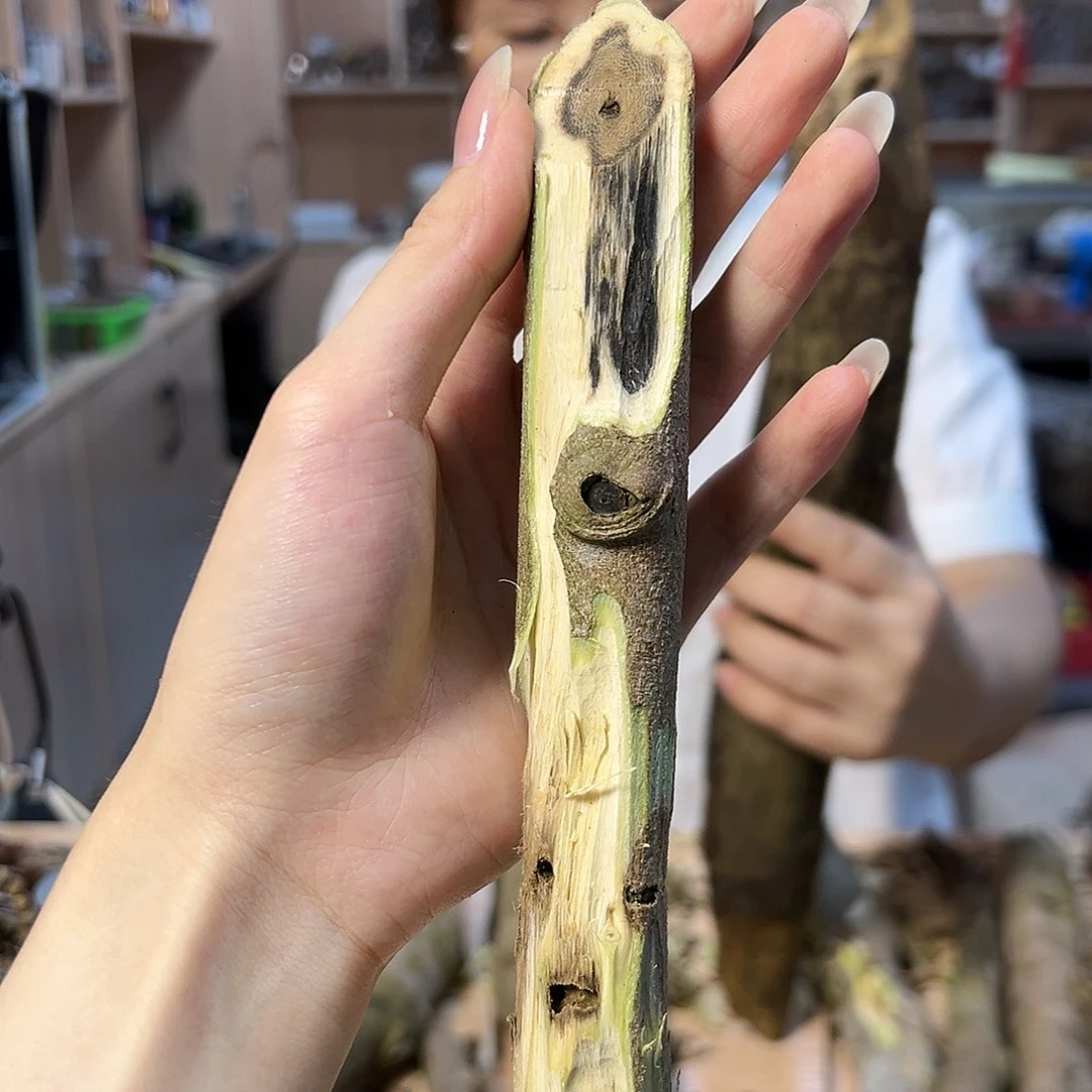 线香奇楠原材料1。