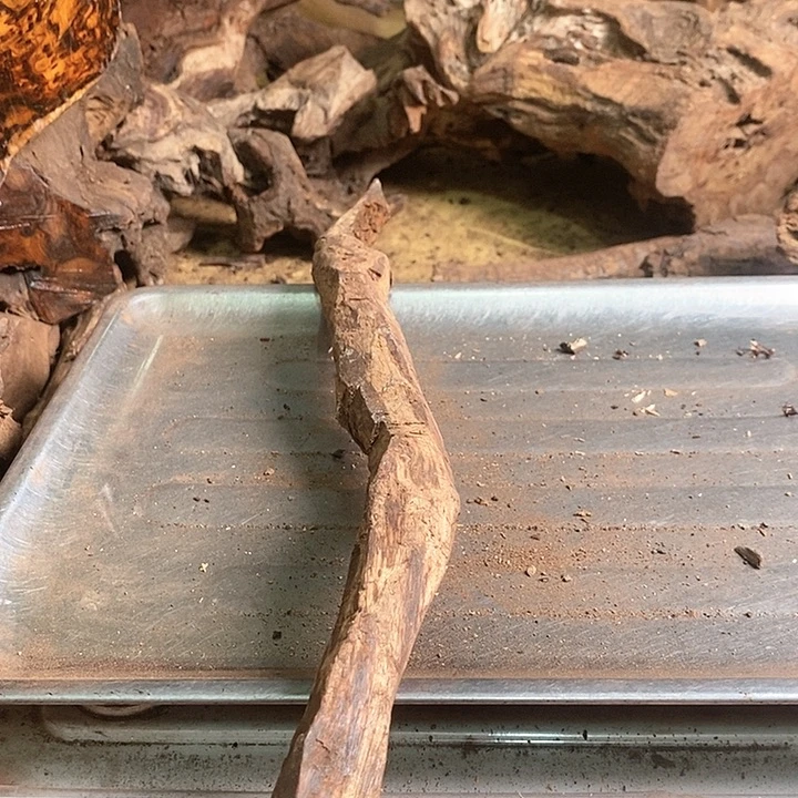 花梨木类自*湾海南黄花梨