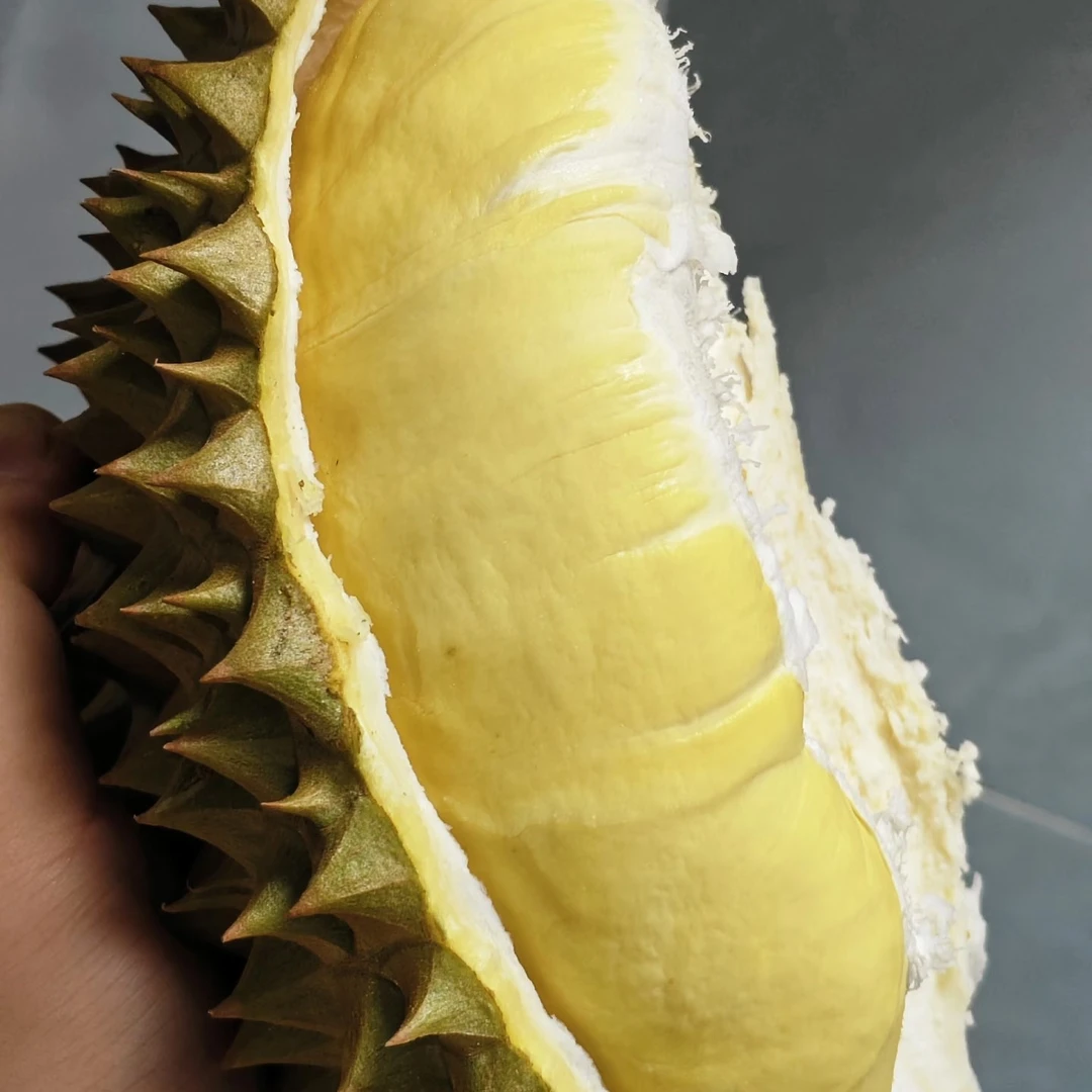 【百鲜惠生鲜超市】金枕榴莲 一物一拍            新鲜金枕榴莲 产地:越南  每颗约2KG 核小金枕越南