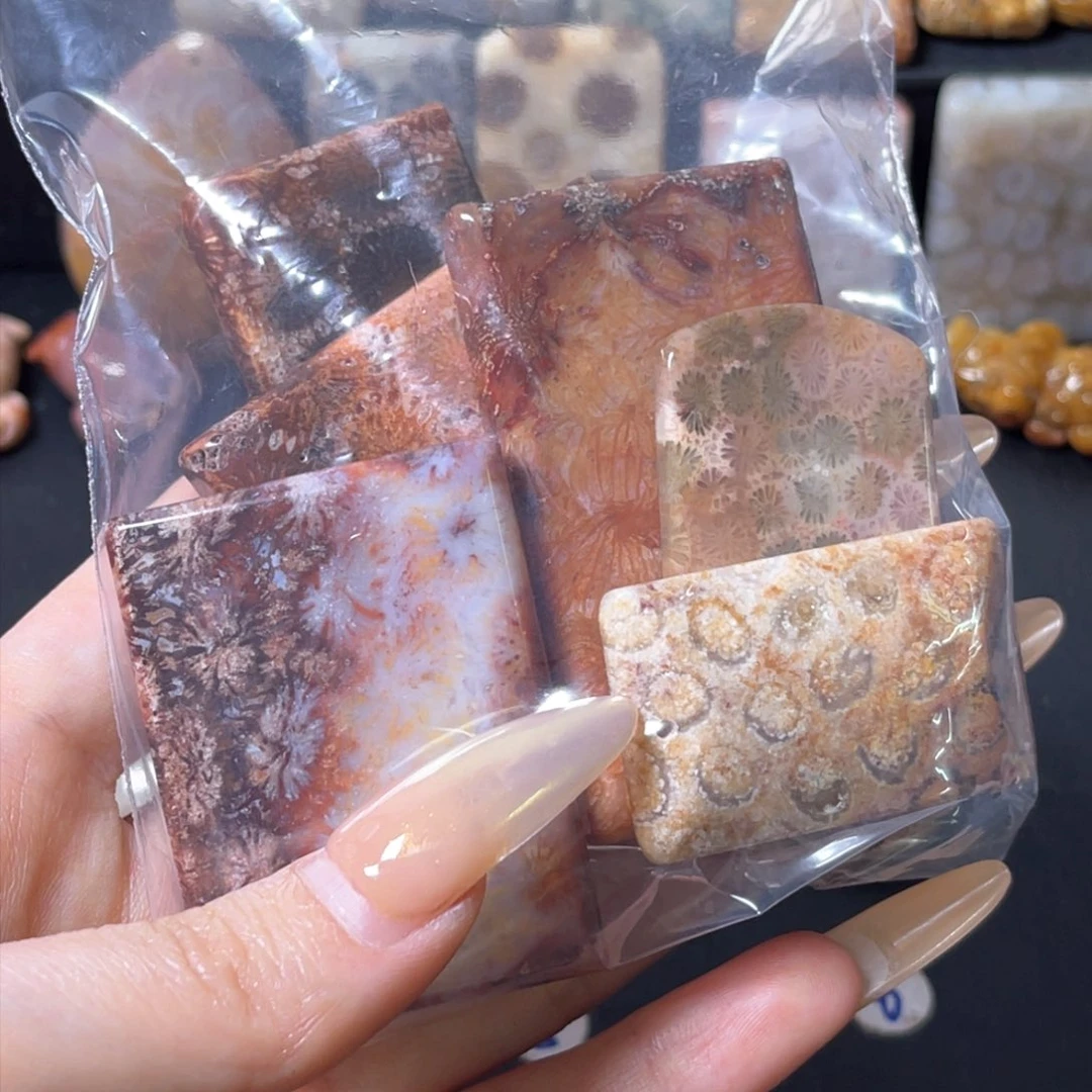 硅化珊瑚（珊瑚玉）吊坠未镶嵌