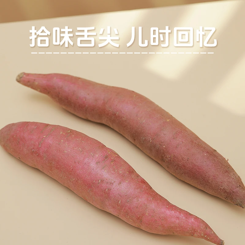 【决赛】5斤丽堂红薯沙地番薯香甜粉糯新鲜糖心蜜薯顺丰包邮