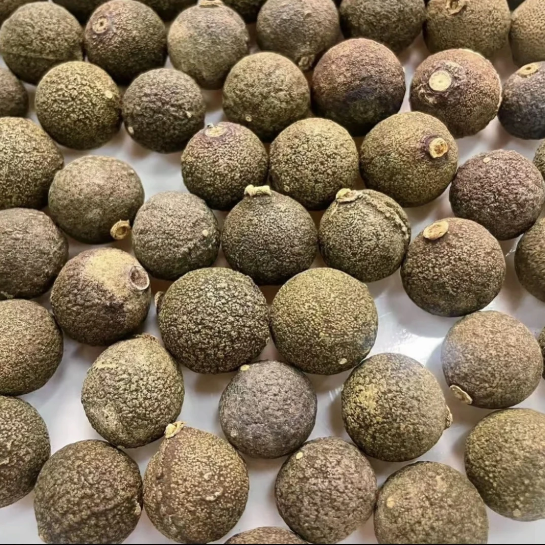 缠-龙-金-果 古兜山 新会核心产区-