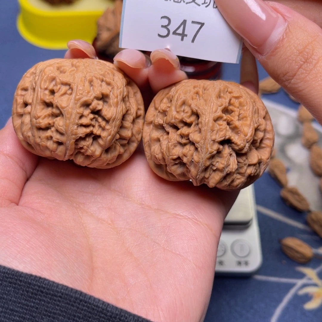 核桃大粗筋44.347
