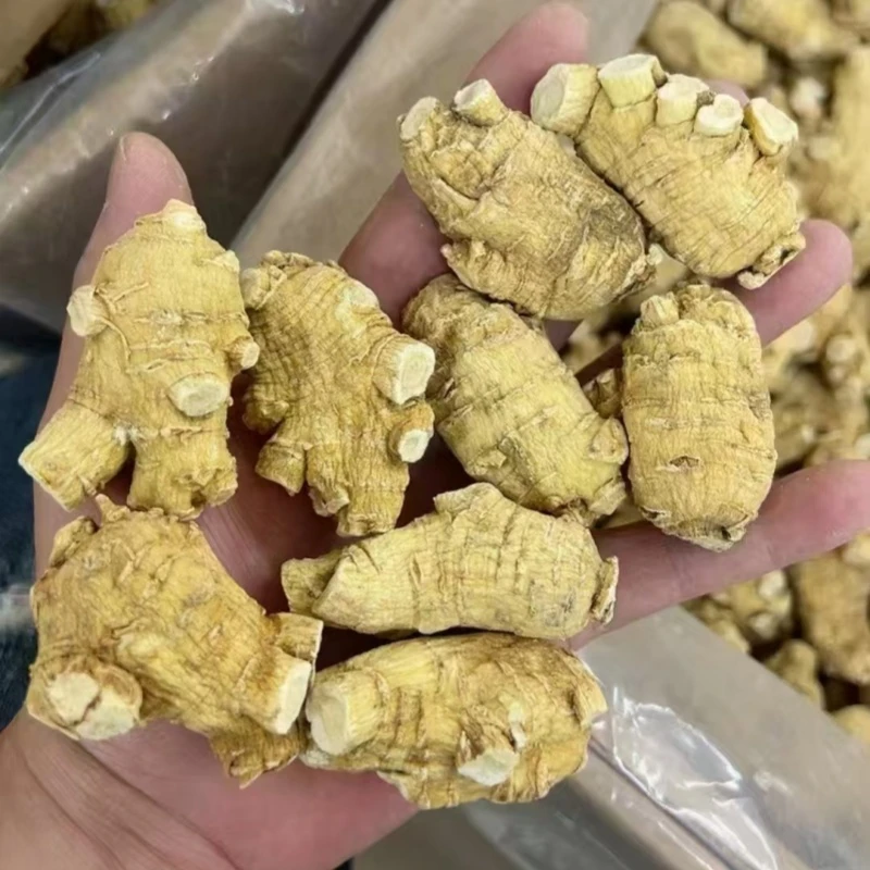 加拿大进口西洋参精选圆粒特圆粒20克珍珠泡参高端礼盒