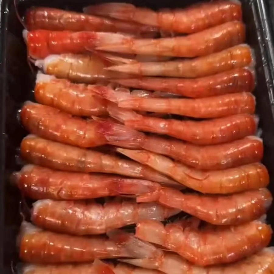 红魔虾尾～有软壳裂痕属正常现象，介意者慎拍