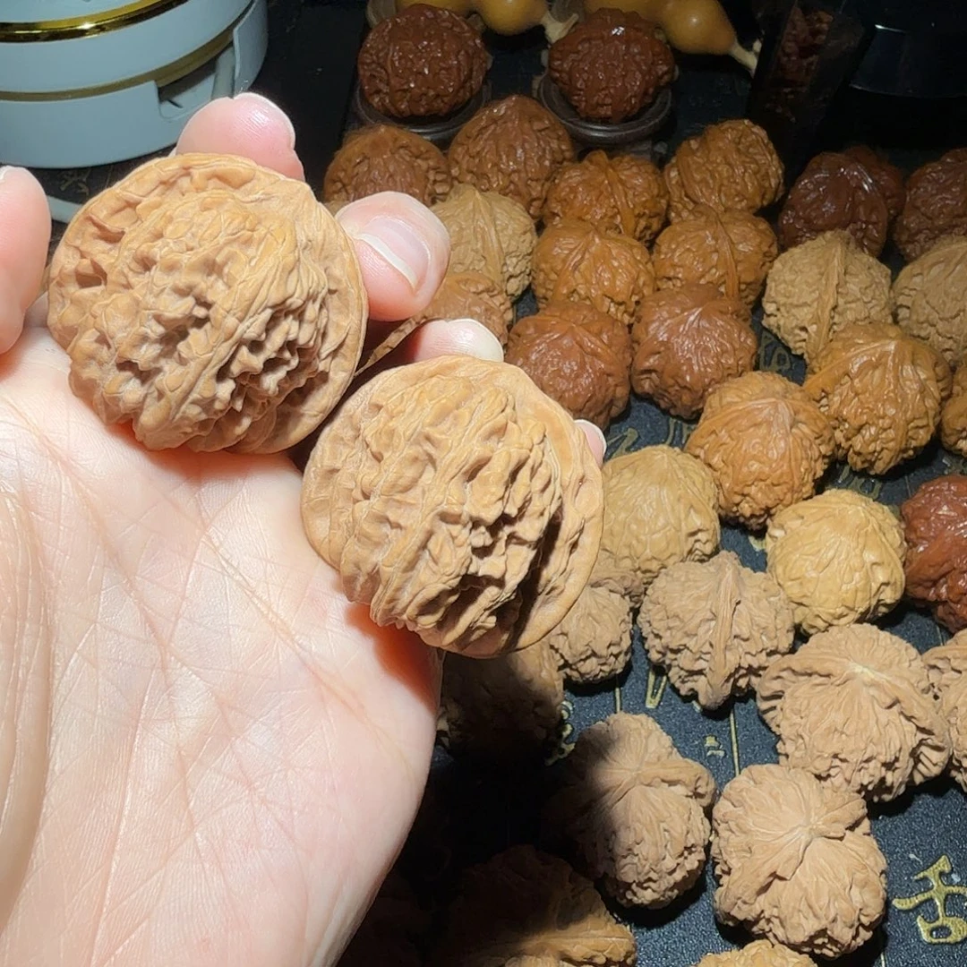 核桃燕山山脉山地矮桩楼