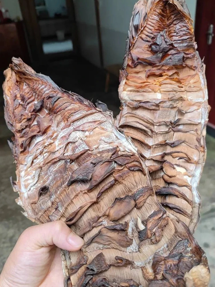 福建建瓯鲜笋烟熏笋干自制竹笋柴火烟熏嫩笋尖1斤包邮