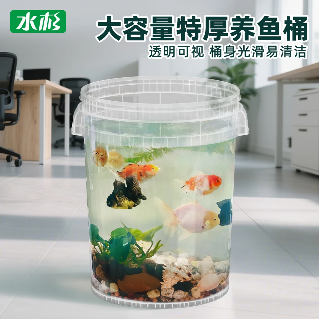 水杉大容量养鱼桶耐用塑料桶圆形透明桶养鱼大型专用桶加厚水桶