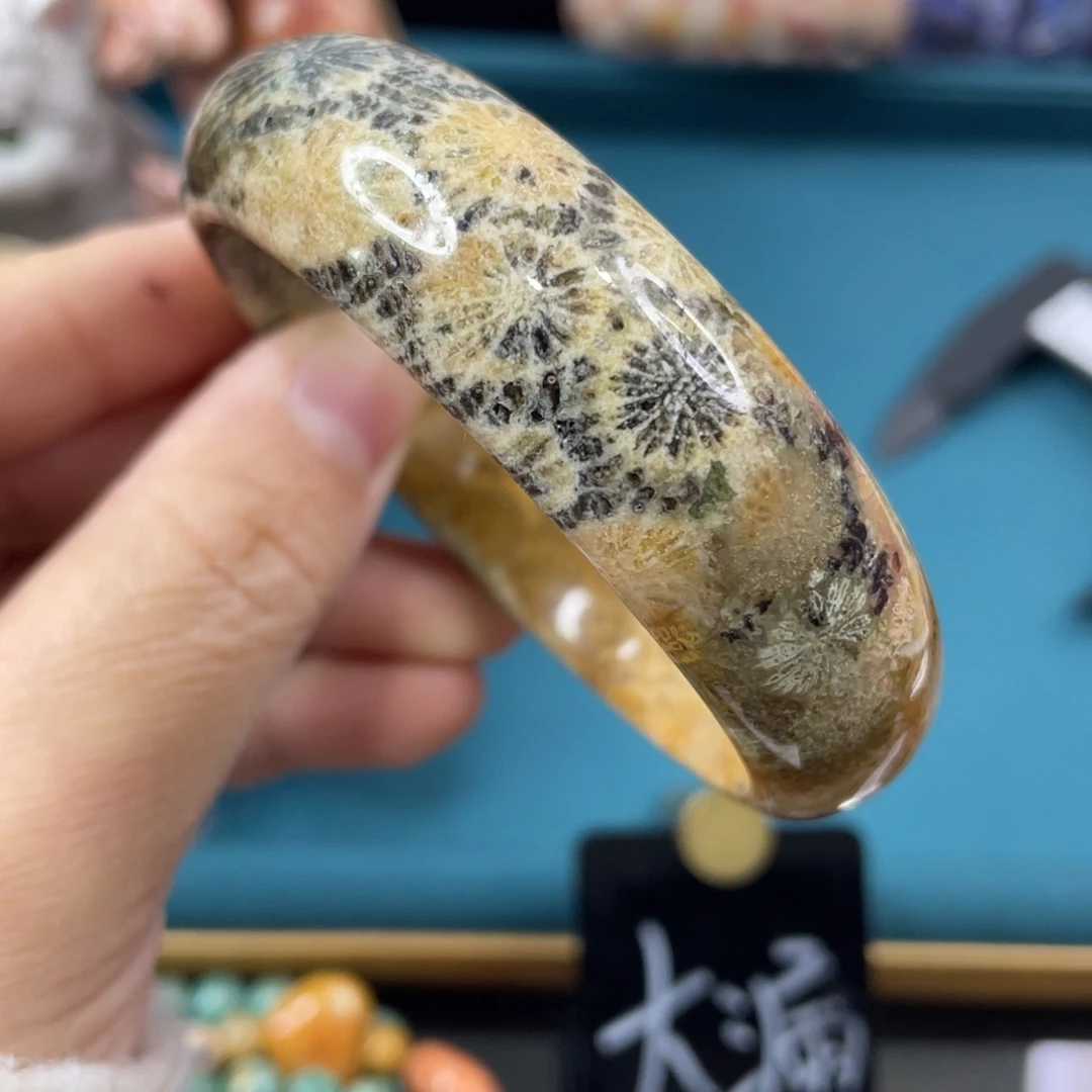 未镶嵌手镯硅化玉