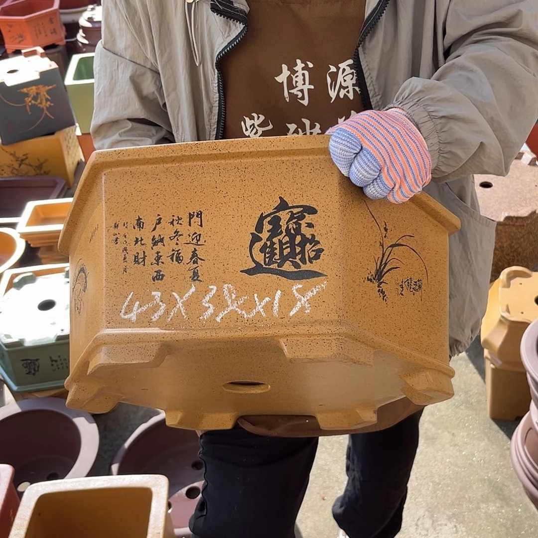 紫砂花盆盆景艺术