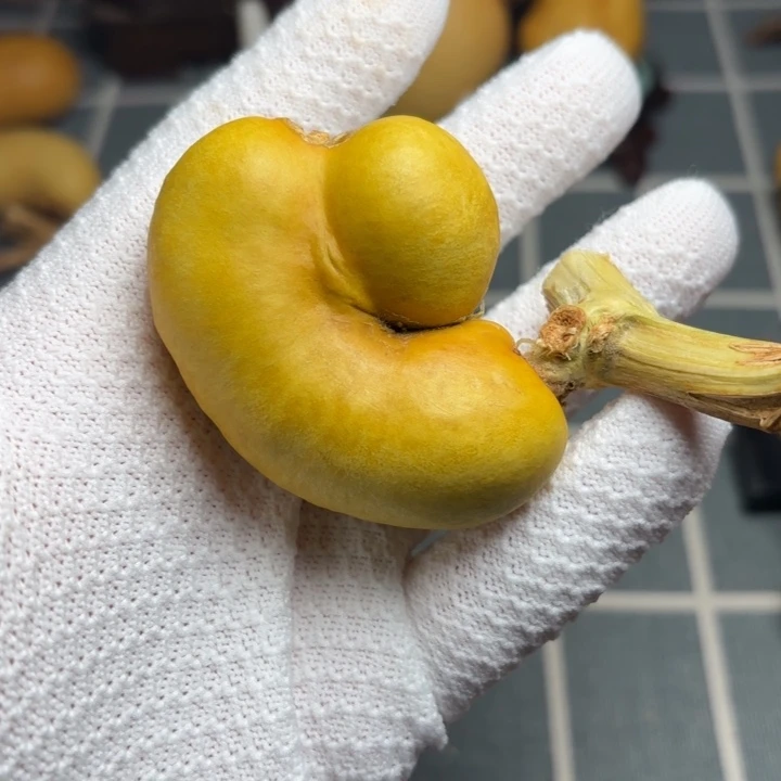 已***置666666666666666666