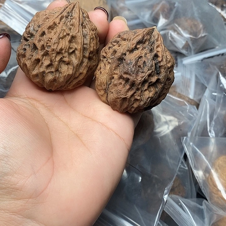 文玩核桃把件53号42mm