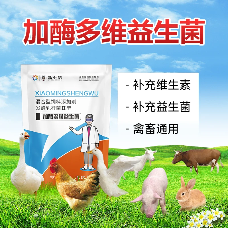 加酶多维益生菌猪牛羊禽类通用补充维生素益生菌正品直销