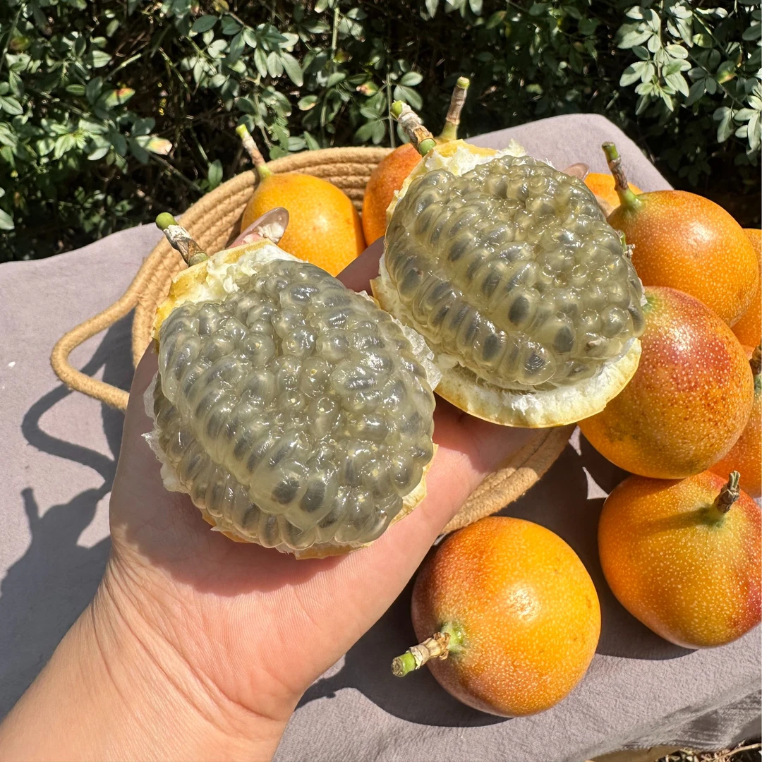 云南西双版纳热情果百香果稀奇水果1-3斤纯甜无酸