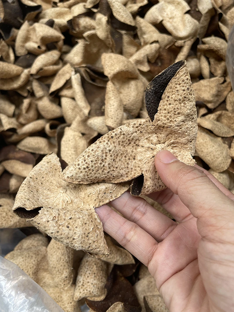 【样品】各年份陈皮柑皮老树果