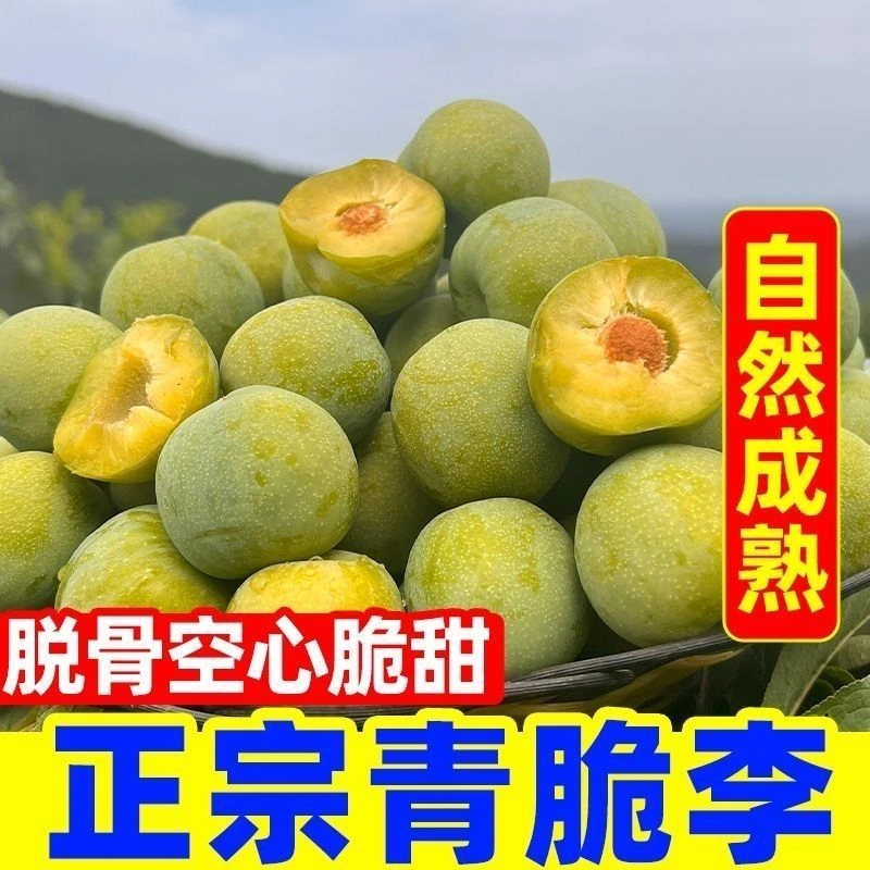 精品新水果李青脆李脱骨李新鲜爽口孕妇水果当季新鲜李子现摘现发