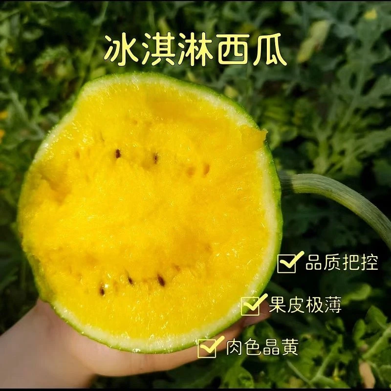 【大棚鲜采】甘肃特小凤巴掌西瓜薄皮手撕新鲜脆甜包邮便宜一整箱