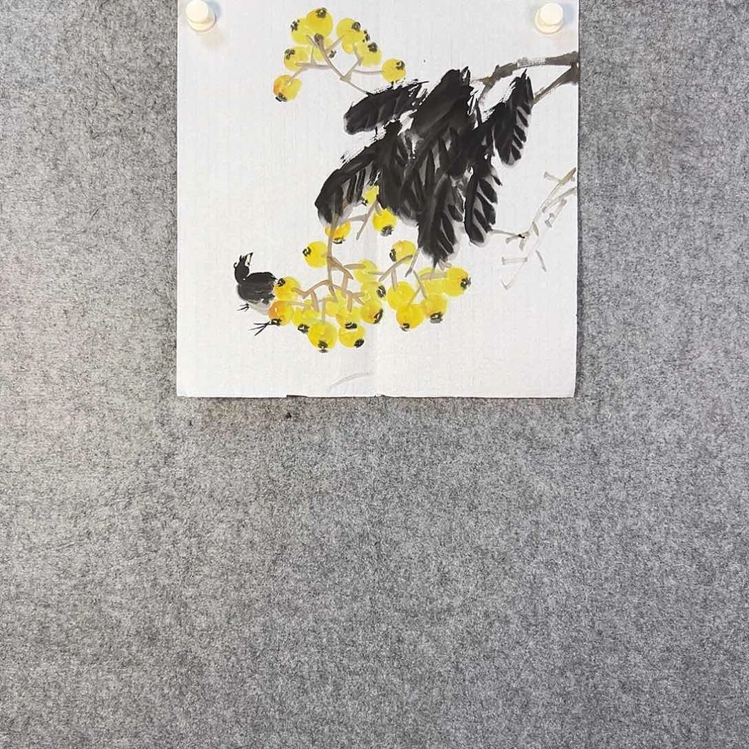 国画136 牡丹花等经济植物和花卉资源