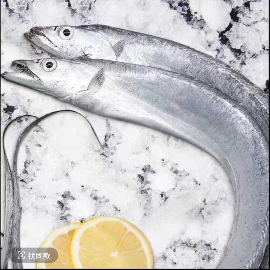 10条  连云港发货带鱼新鲜速冻发货【200g-300g】到手十条