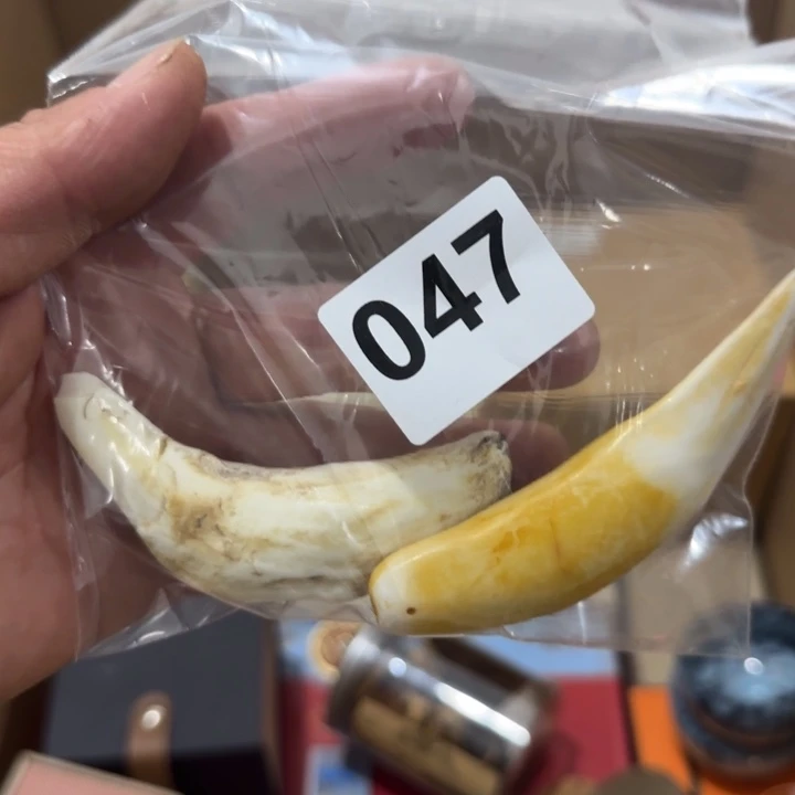 感*047。     38。