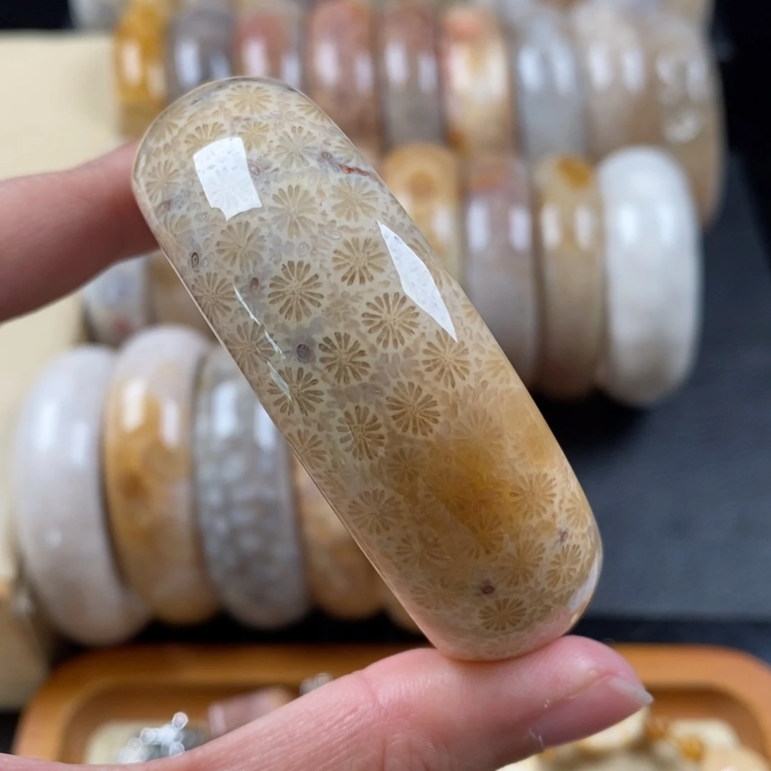 硅化珊瑚（珊瑚玉）手镯55+未镶嵌