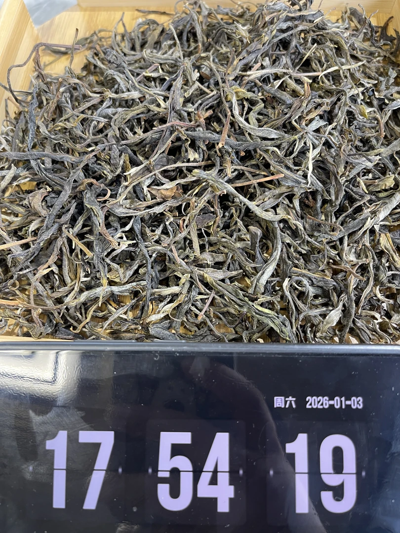 D1 2025年大户赛古树混采春茶 生茶 普洱茶 散茶 26/01/03