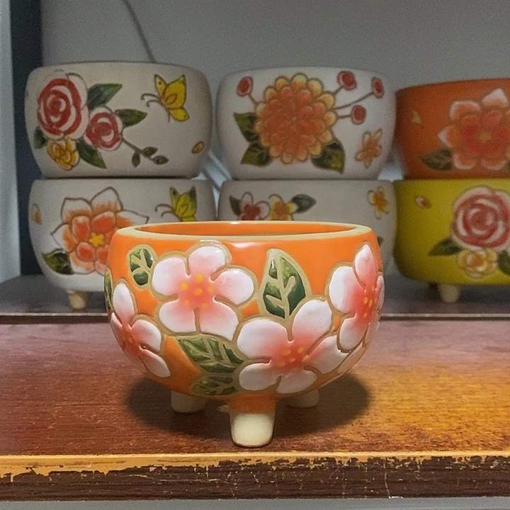 韩式多肉植物花盆