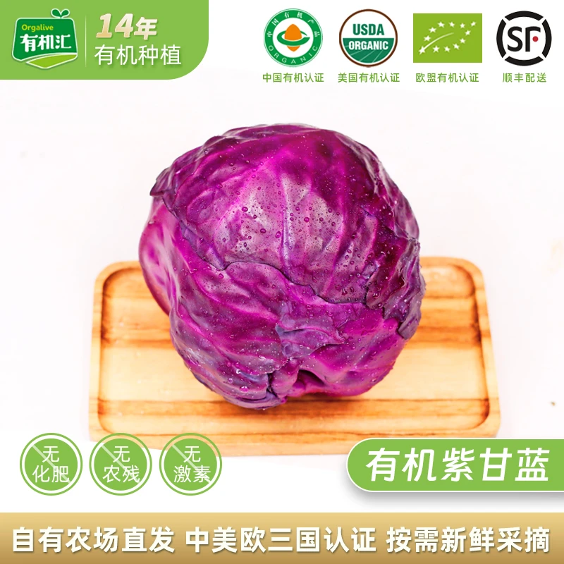 有机紫甘蓝5斤装  新鲜生吃紫包菜蔬菜配送榨汁生吃沙拉食材